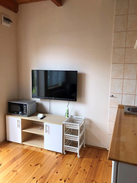 TV a/nebo společenská místnost v ubytování Apartamenty pod dębem