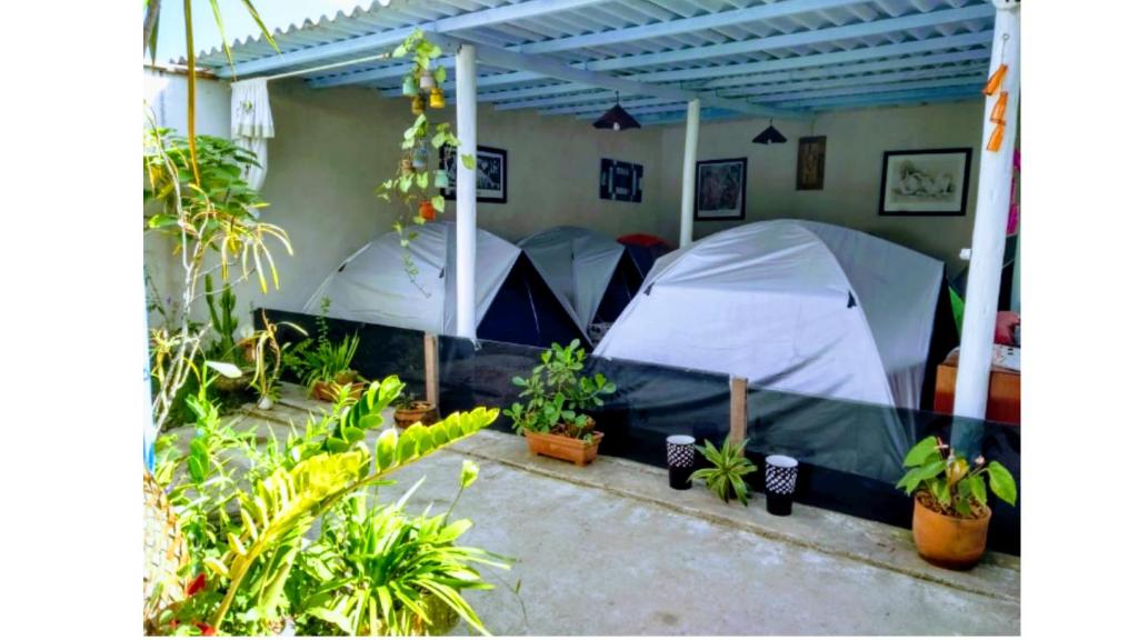 a group of tents in a room with plants at Camping Conforto Ypê Branco in Paraty