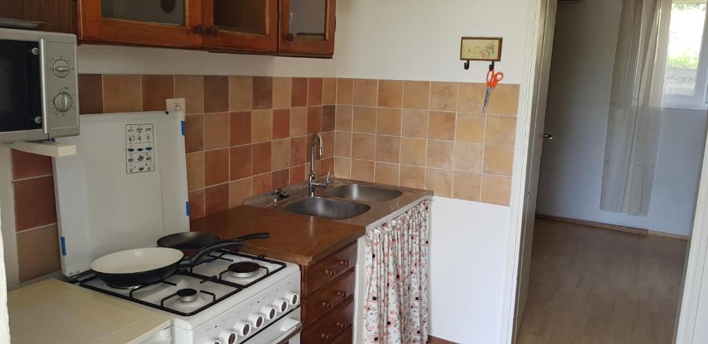 Kuchyňa alebo kuchynka v ubytovaní Apartment Srsen