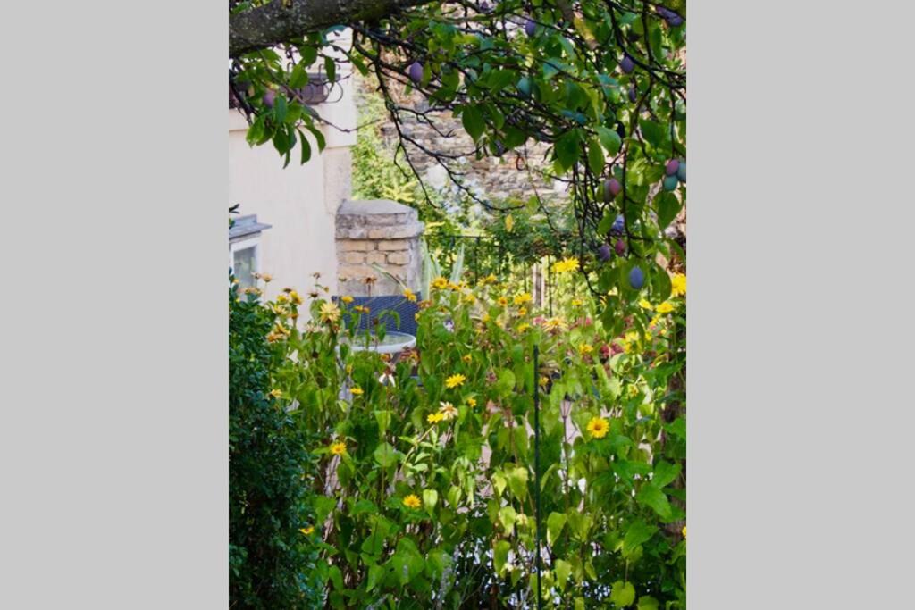 Giardino di Villa Wachtertor