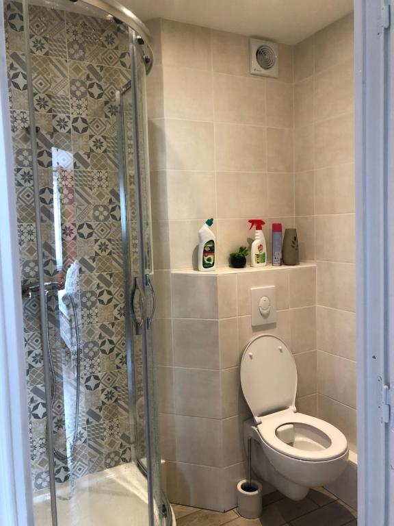 a bathroom with a toilet and a glass shower stall at Chambres privées Calais Ferry-Port-Place d&#39;armes in Calais