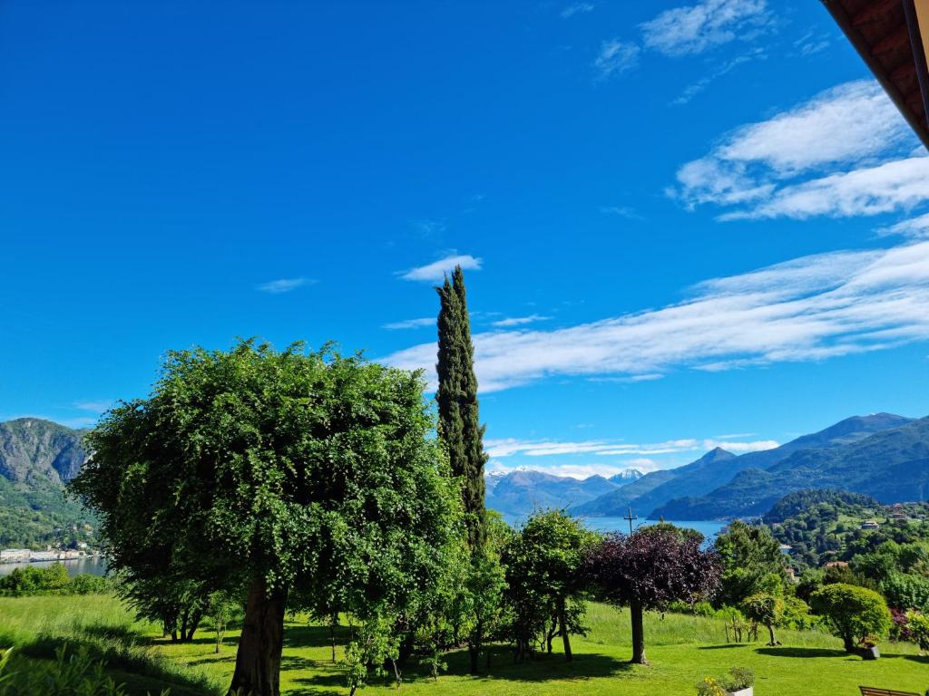 a tree in a field with mountains in the background at B&B I LAKE IT BELLAGIO in Bellagio