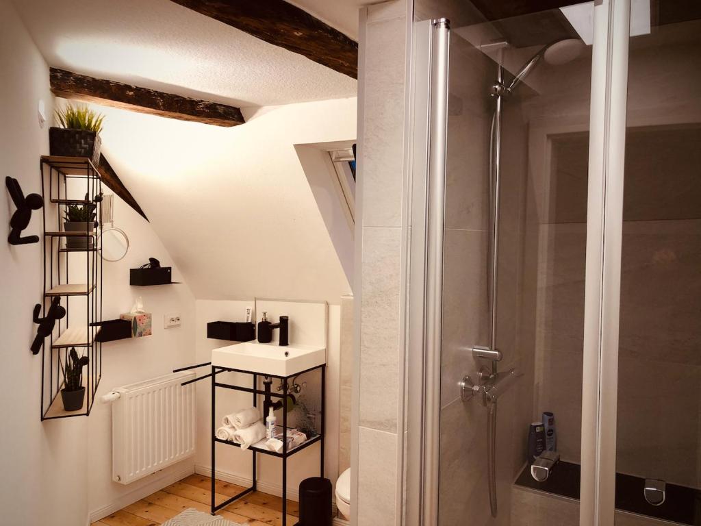 a bathroom with a shower with a glass door at Wohnen im Denkmal/Eckbäckerhaus beste Altstadlage in Friedrichstadt