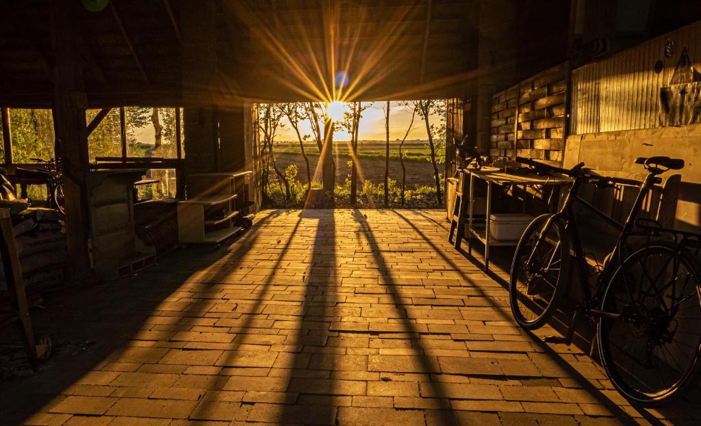 um raio de sol brilha através da porta de um celeiro com uma bicicleta em Kogutowo Agroturystyka MPR em Wietrzychowice
