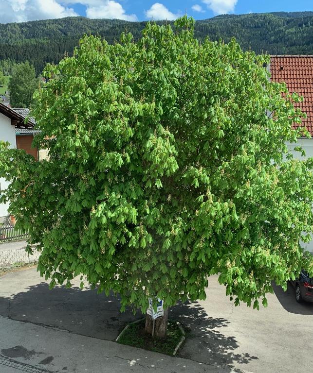 Příroda nedaleko hotelu