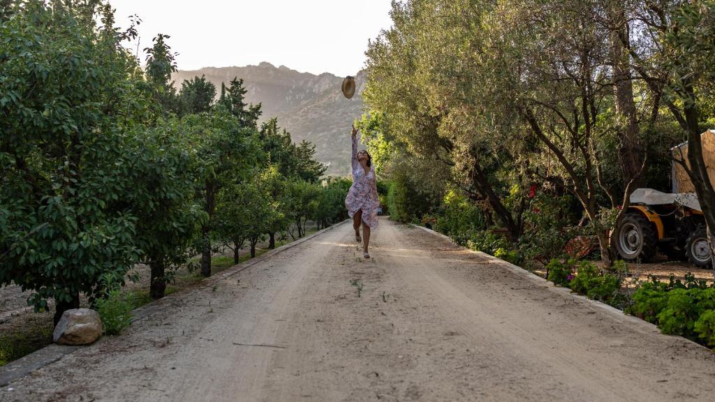 S'Arenada Hotel - Adults Only - 15