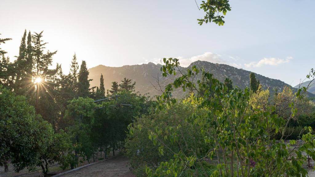 S'Arenada Hotel - Adults Only - 17