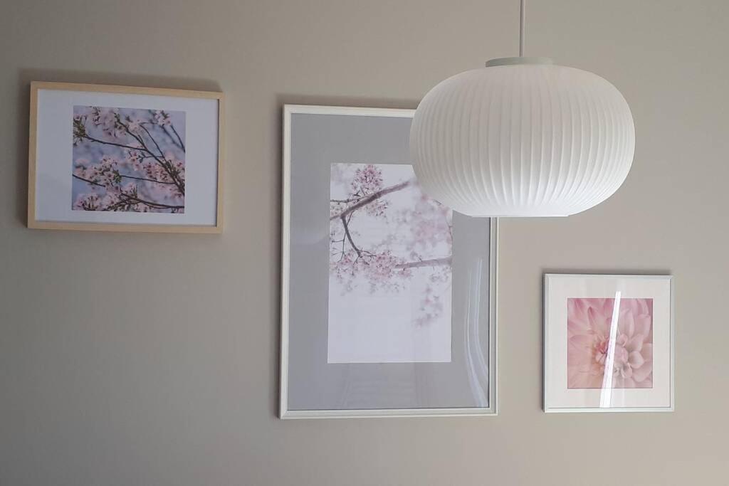 Fotografie z fotogalerie ubytování Cherry Flower - suburban area Zagreb v Záhřebu