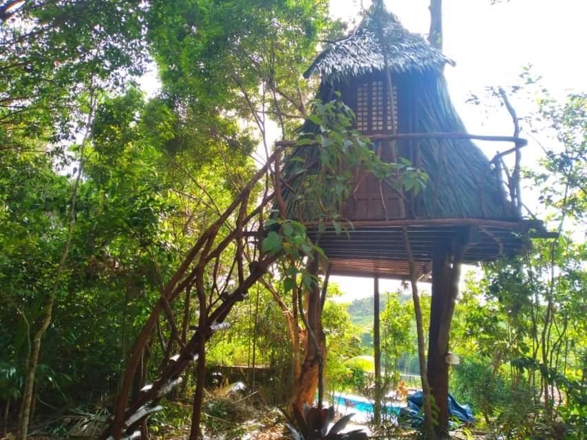Zahrada ubytování Sanctuaria Treehouses Busuanga