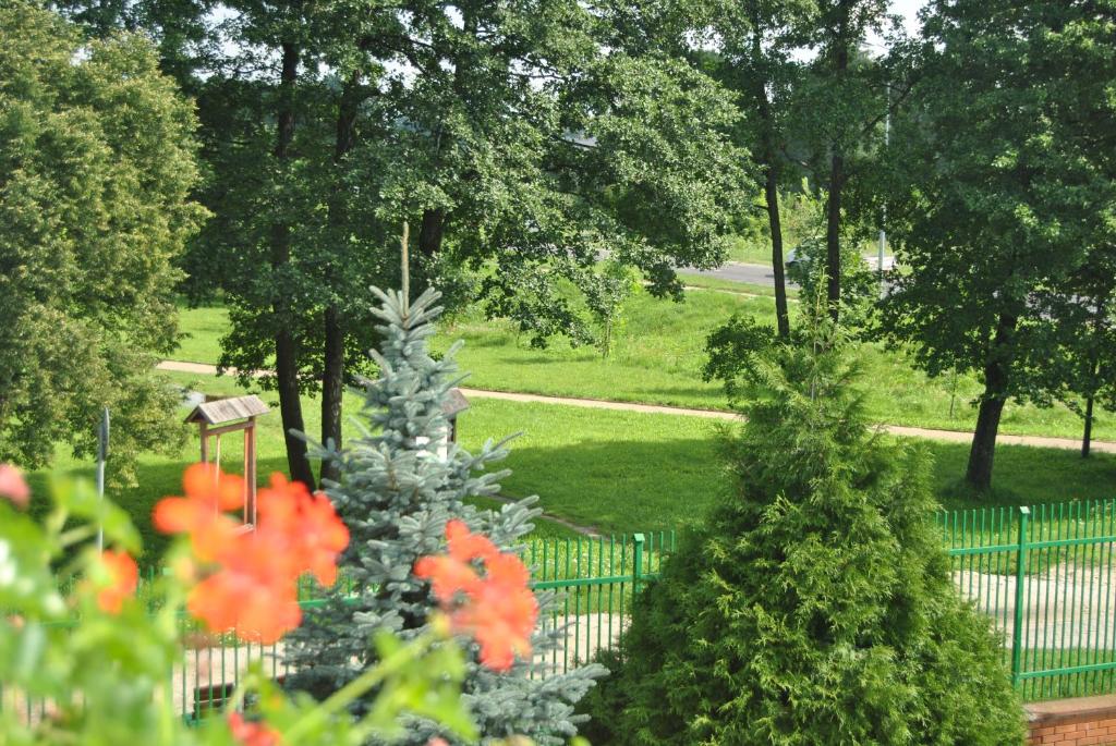 Zahrada ubytování Motel DB2000