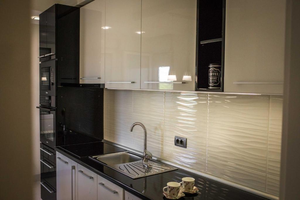 Kuchyň nebo kuchyňský kout v ubytování APARTMAN SIMIC - STAN NA DAN