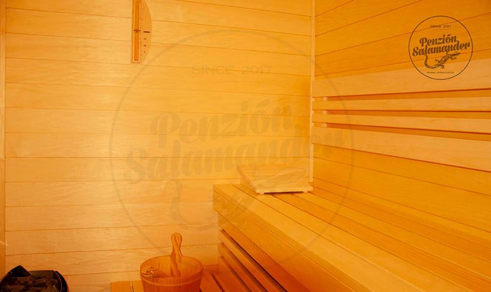 Fotografie z fotogalerie ubytování Penzion Salamander v destinaci Terchová