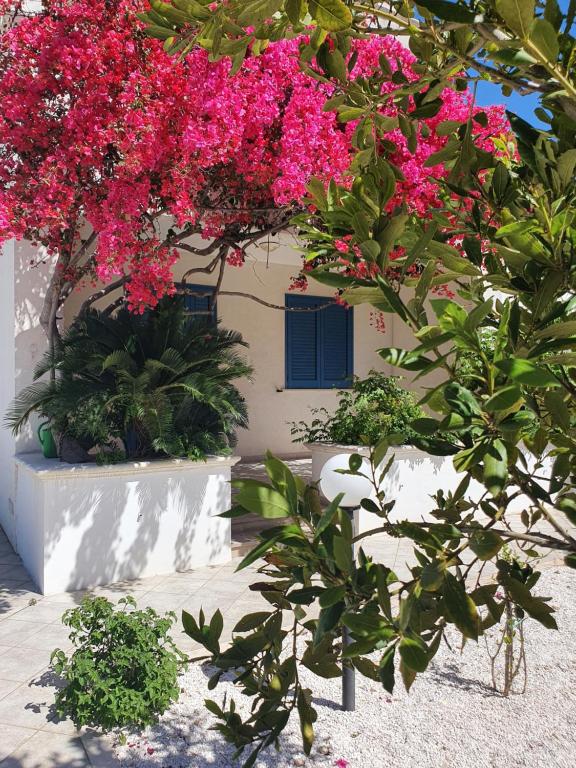 Une bande de fleurs roses suspendues à un bâtiment dans l'établissement Villa A'mare, à Savelletri di Fasano