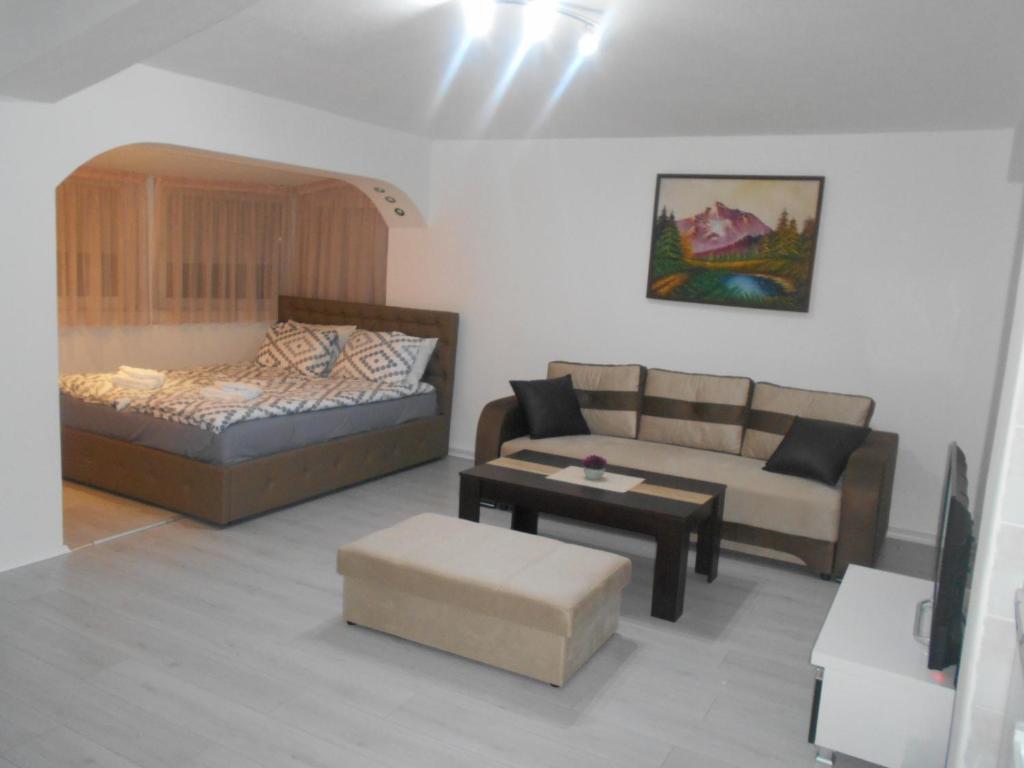 un soggiorno con divano, letto e tavolo di BFS Apartment a Ohrid
