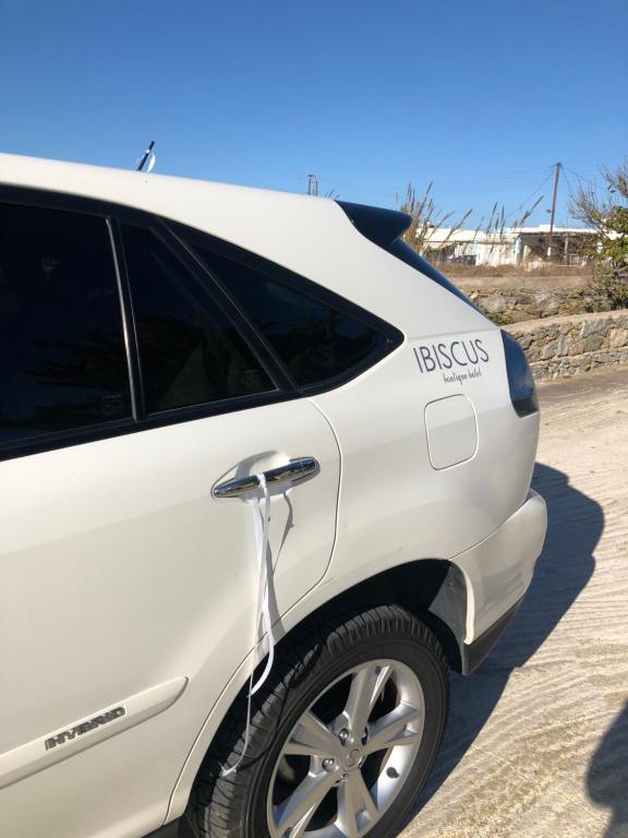 Ibiscus Boutique - 19