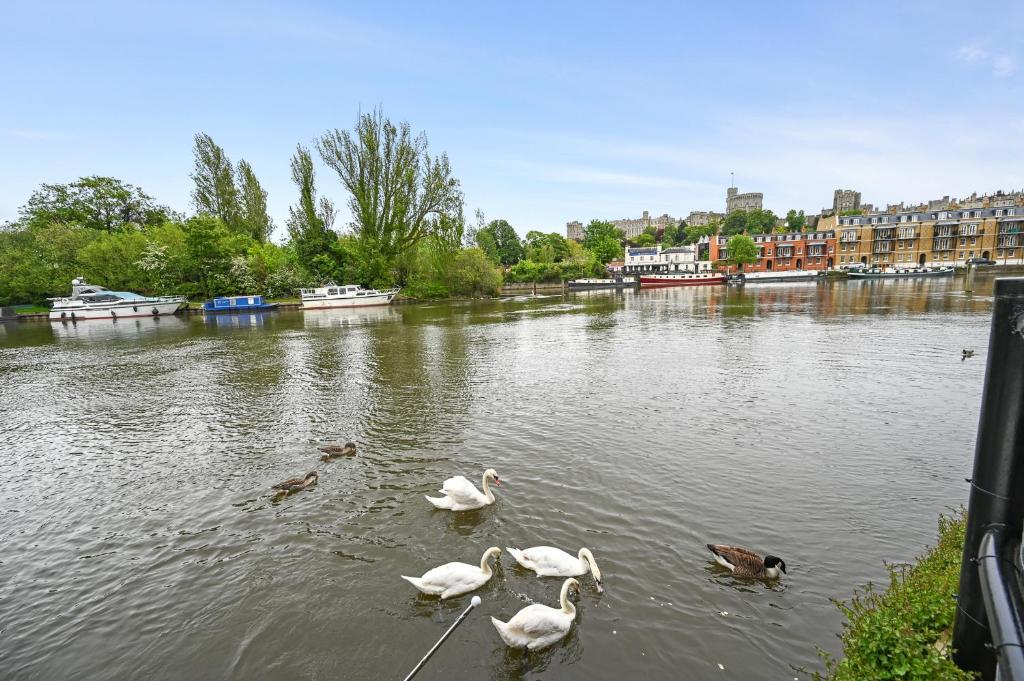 Simply the best Windsor riverside townhouse with superb castle views, free parking and 2 minutes walk from Eton High Street & Windsor Bridge