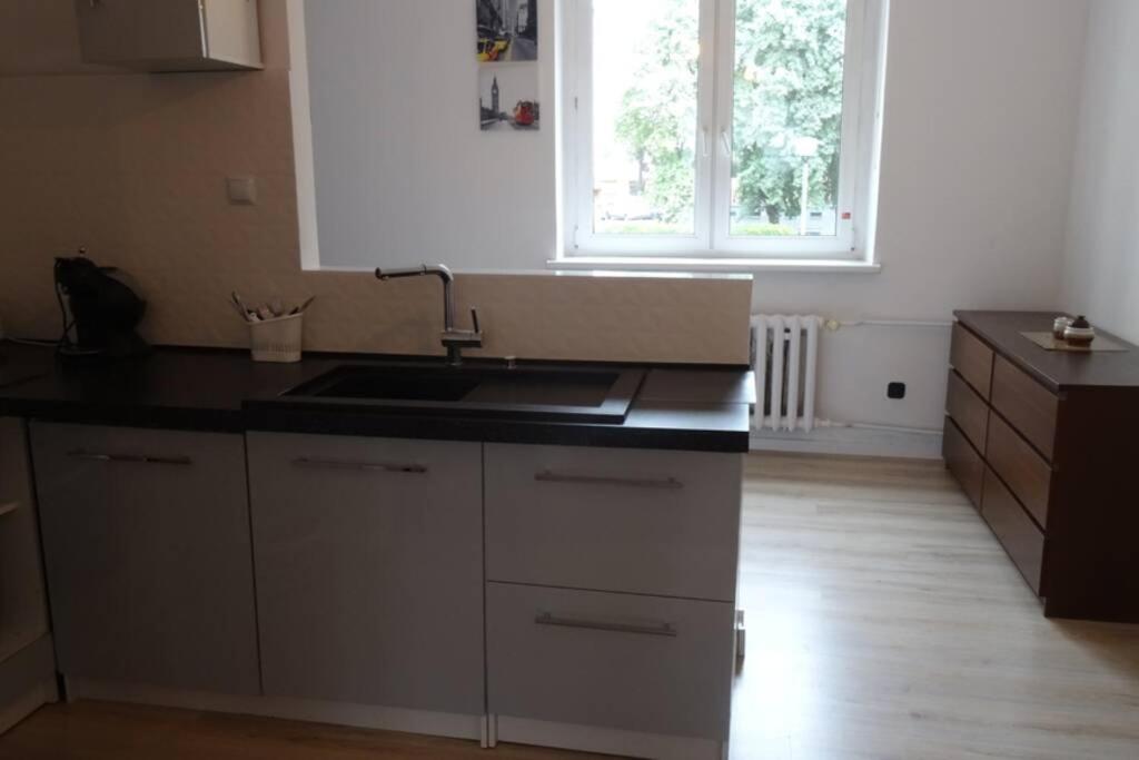 Kuchyňa alebo kuchynka v ubytovaní Apartament Bursztyn