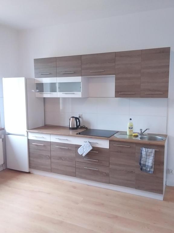 Kuchyňa alebo kuchynka v ubytovaní Marshal Foch Apartment
