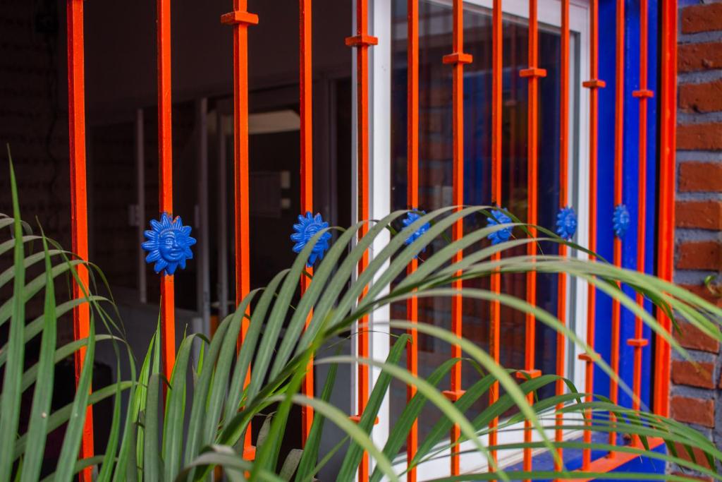 Fotografie z fotogalerie ubytování Chanclas Hostel Vallarta v destinaci Puerto Vallarta