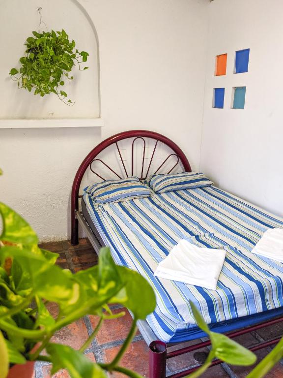 Postel nebo postele na pokoji v ubytování Chanclas Hostel Vallarta