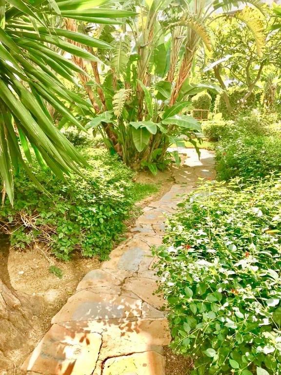 Vonkajšia záhrada v ubytovaní BENALBEACH GARDEN