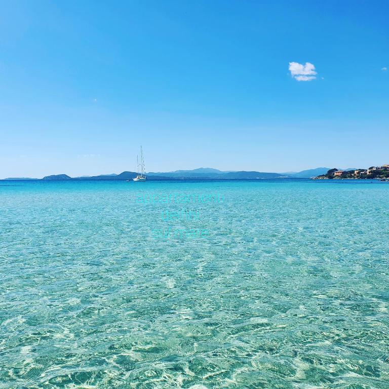 duży zbiornik wody z łodzią w nim w obiekcie Appartamenti delfini terza spiaggia w mieście Golfo Aranci