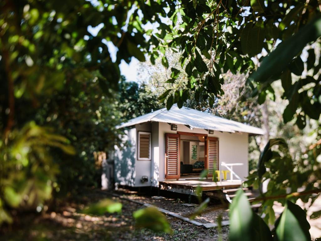 a small house in the middle of a forest at The Little Bush Hut in Nelly Bay