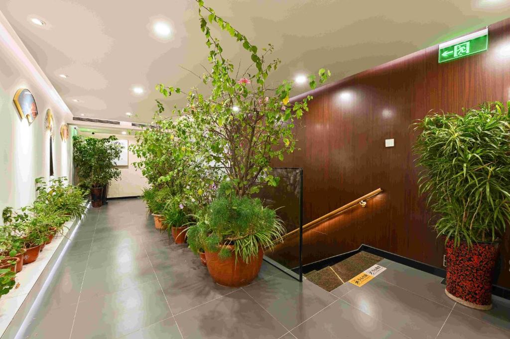 Fotografie z fotogalerie ubytování Xingshe Alley Courtyard Hotel Beijing Wangfujing Forbidden City Branch - Breakfast included & English speaking reception & Free WiFi and Laundry room & Hutong Culture & Cat-keeping & Flower-growing Terrace & One day tour service & Free coffee v Pekingu