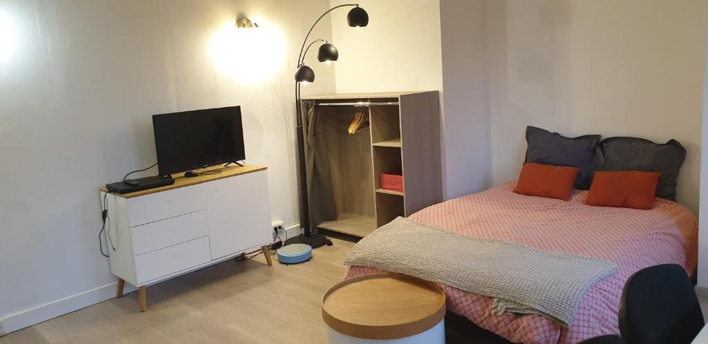 1 dormitorio con cama y vestidor con TV en Pied à terre professionnel au coeur de "Beauzelle Activity" en Beauzelle