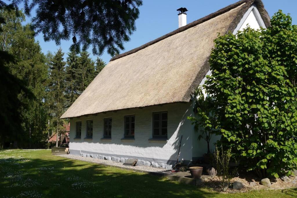 Ferienhaus Wunderschönes Reetdachhaus (Deutschland Ahrensbök)