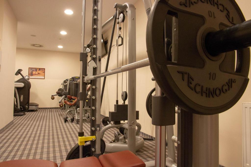 Fitnes oz. oprema za telovadbo v nastanitvi Wellness Hotel Montis