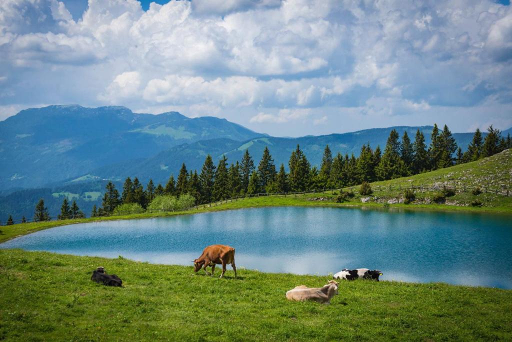 Pokrajina v okolici hotela