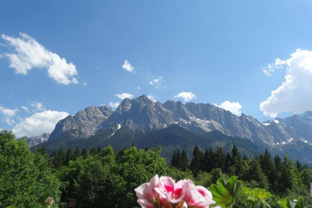 a view of a mountain range with a pink flower at Ferienwohnung Zugspitze in Grainau
