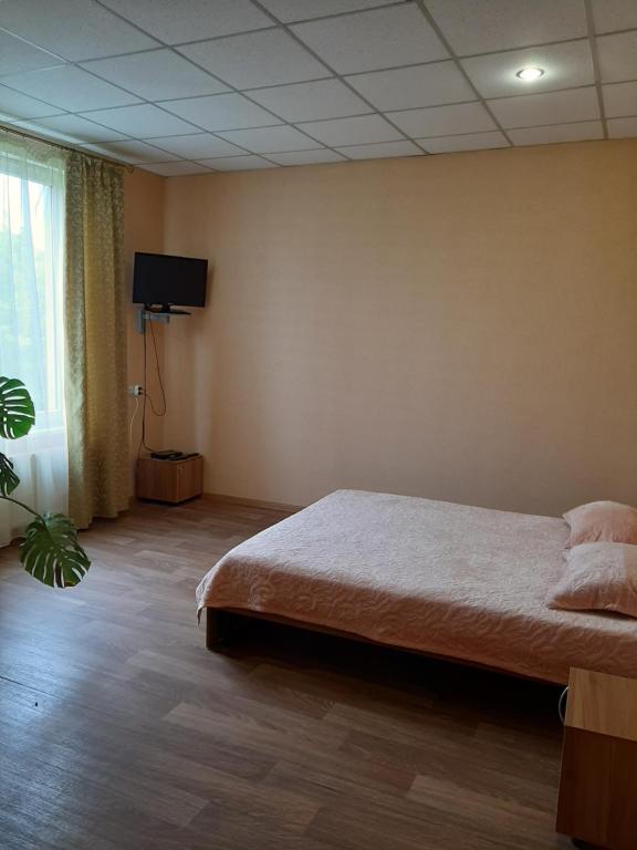 a bedroom with a bed and a tv and a window at Прайд Кривой Рог in Kryvyi Rih
