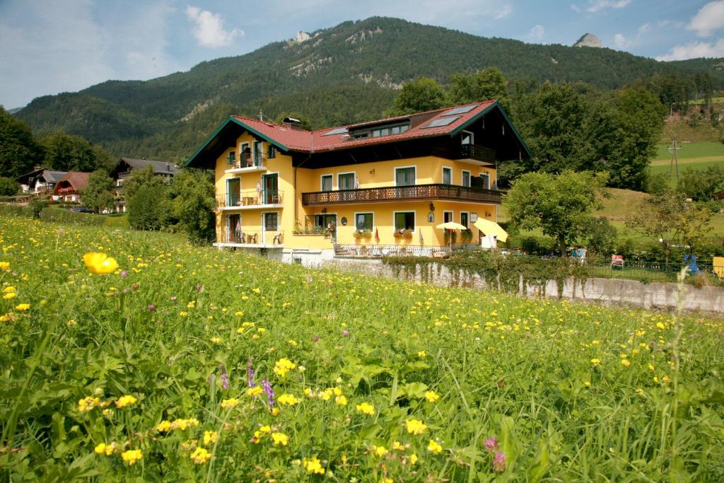 een huis op een heuvel met een bloemenveld bij Haus Daheim in St. Wolfgang