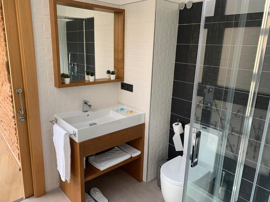 Apartamentos Plaza Mayor Zamora - 12