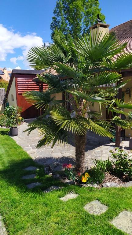 Zahrada ubytování Guest House La Sereine