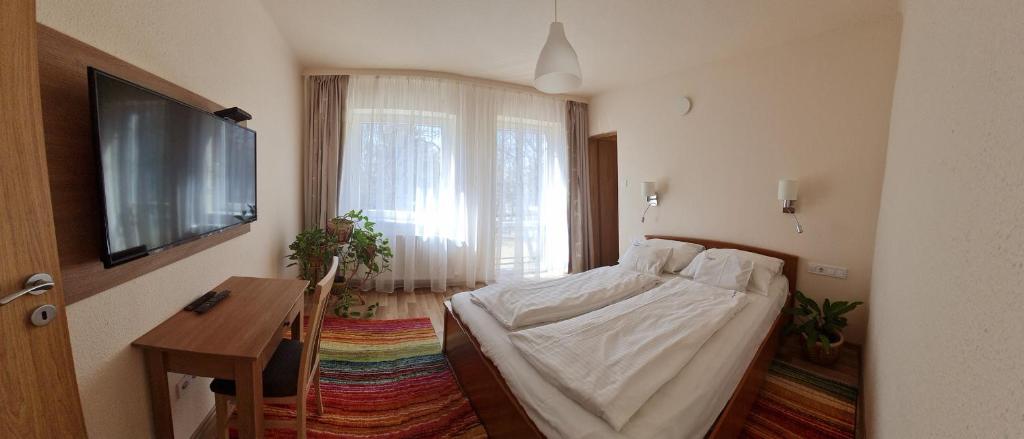 TV a/nebo společenská místnost v ubytování Platán Panzió