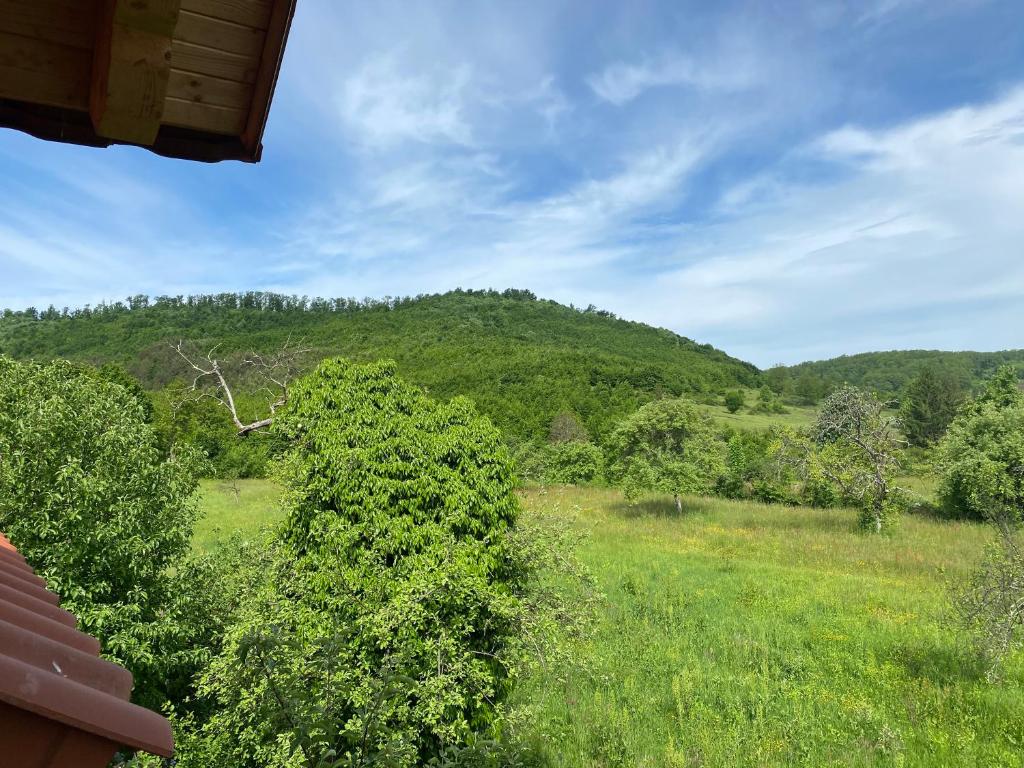 a view of a field with a mountain in the background at Casa Dea in Gladna Montană