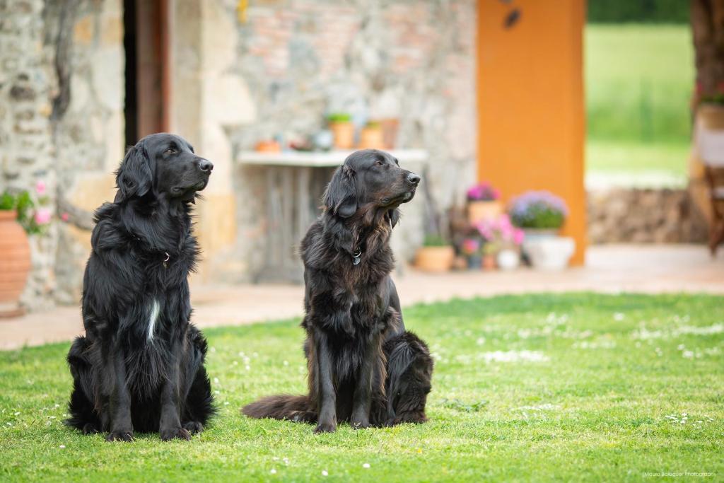 Mas Teixidor, Masia entre Girona y la Costa Brava, Caldes de ...