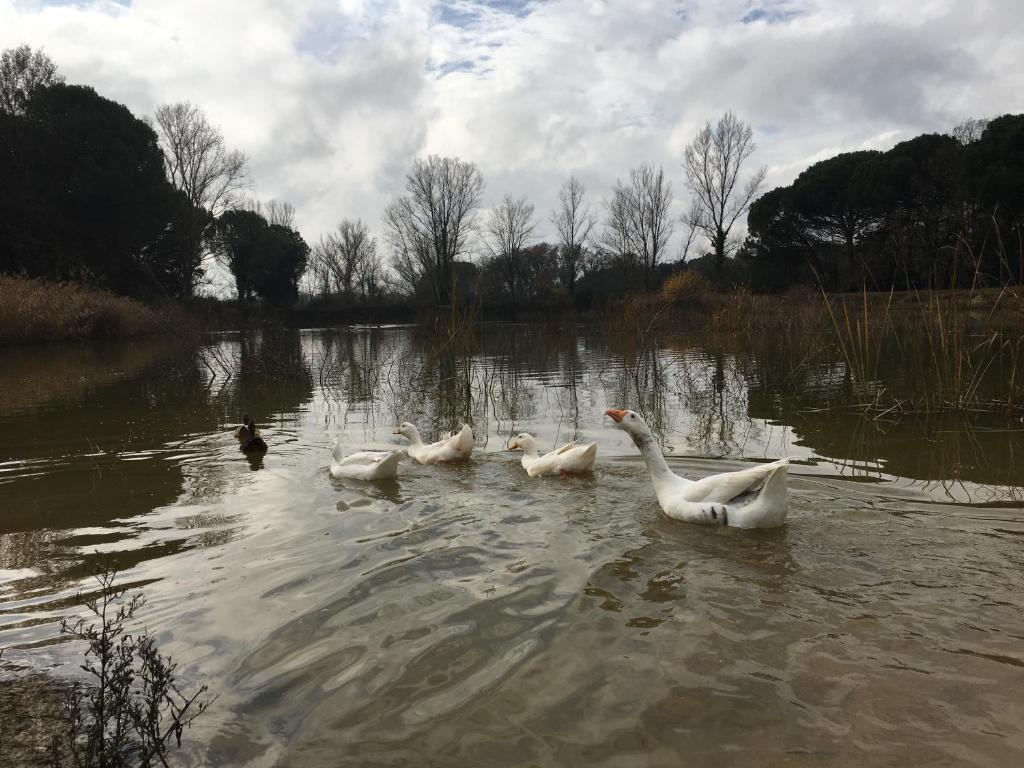 Mas Teixidor, Masia entre Girona y la Costa Brava, Caldes de ...