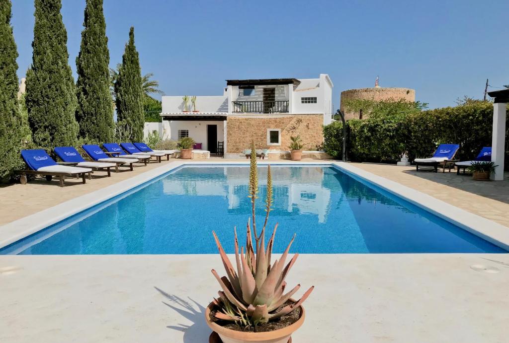 una piscina con sillas azules y una planta al lado en Villa El Palau, en Sant Josep de sa Talaia