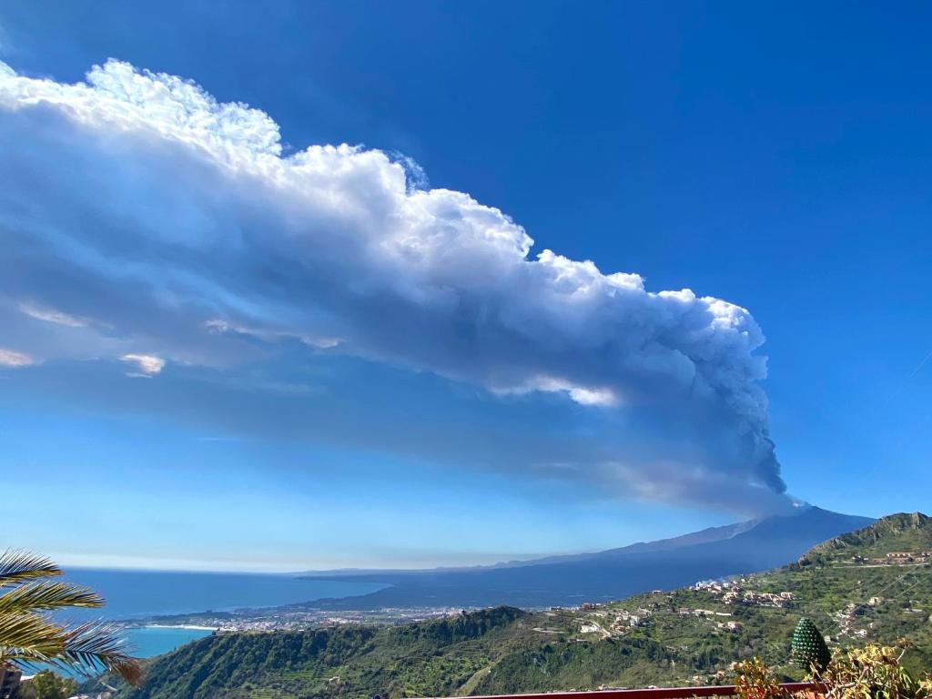 BellaVista Apartments - 19