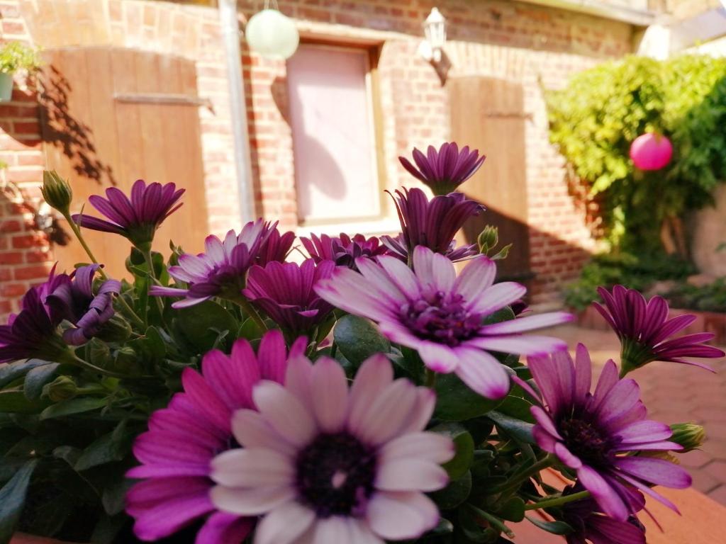 a bunch of purple and white flowers in a vase at Lychen-Daheim in Lychen