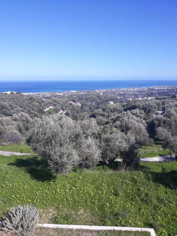 ALKYONI - Stavi's Guesthouse - Appartamento Con Una Camera Da Letto