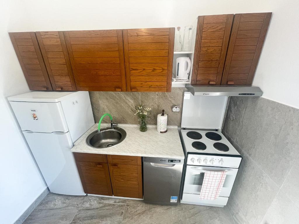 Kuchyň nebo kuchyňský kout v ubytování Apartman Blažina
