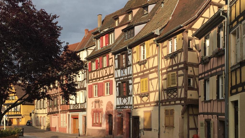Bonjour Colmar – photo 35