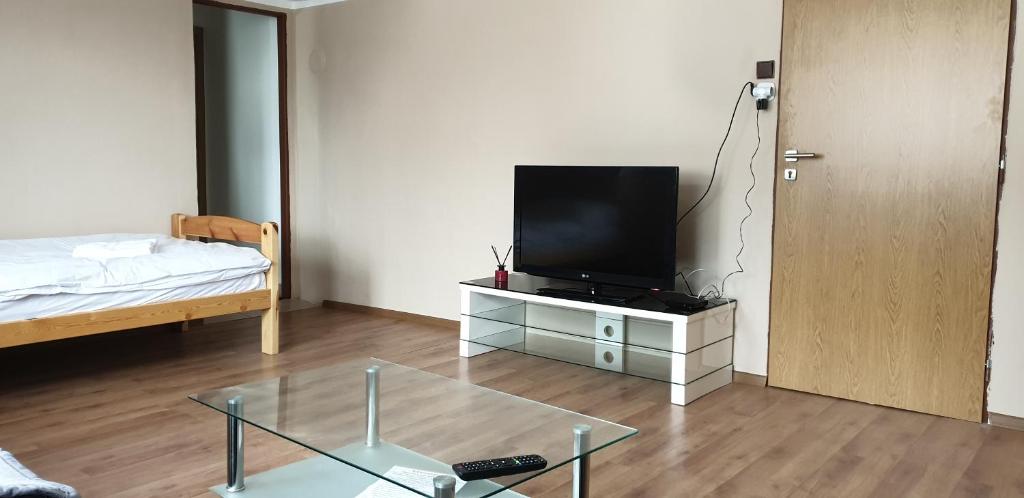 TV a/nebo společenská místnost v ubytování Ubytovani-prostejov