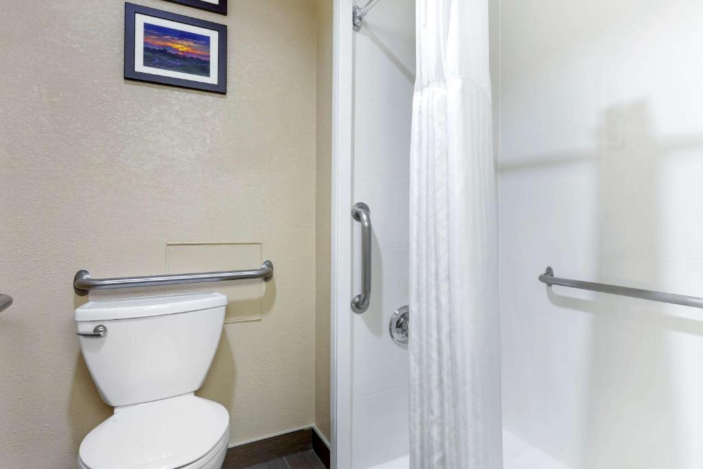 Koupelna v ubytování Comfort Inn Hoffman Estates - Schaumburg