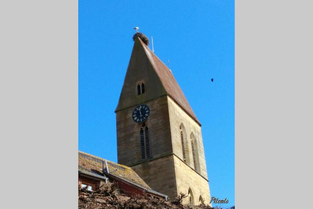 Gite à Eguisheim proche de Colmar et Kaysergberg. – photo 29